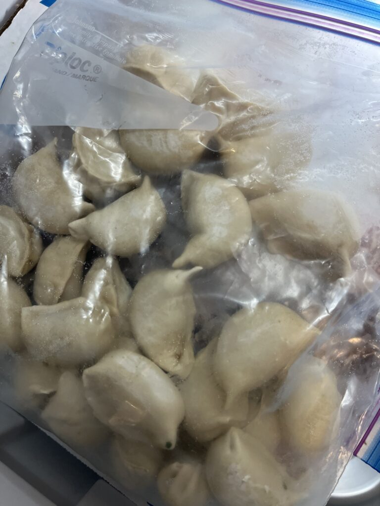 Frozen Dumplings